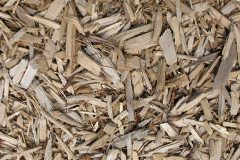 biomass boilers Renshaw Wood